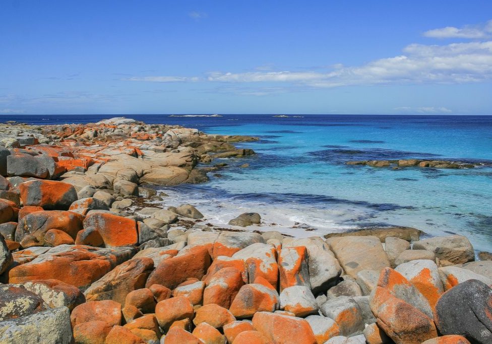 Bay of Fires, Tasmania. Credit: Diego Delso on Wikimedia Commons