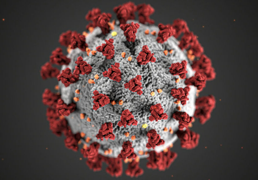 covid-19-coronavirus-covid-cell-pandemic-corona-virus-1608796-pxhere.com